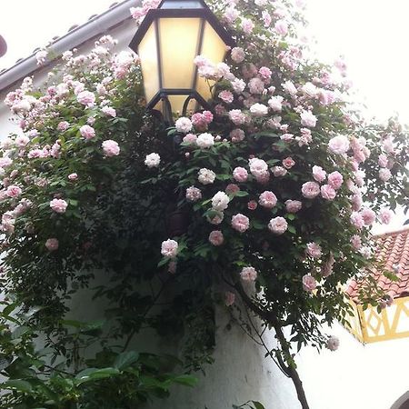 Patio Das Flores フィレイラ・ド・アレンテジョ エクステリア 写真