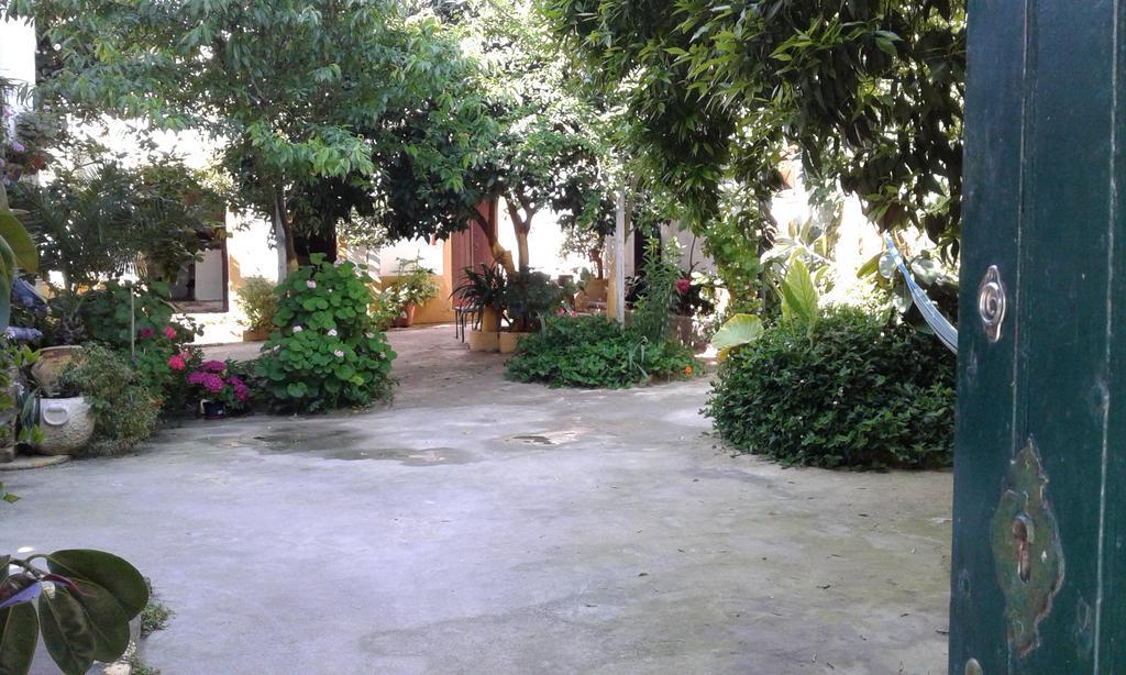 Patio Das Flores フィレイラ・ド・アレンテジョ エクステリア 写真